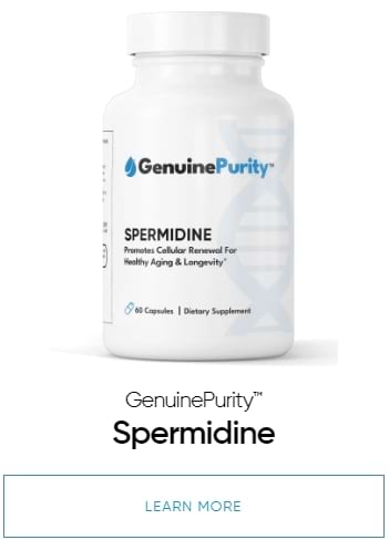 spermidine supplement